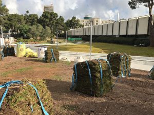 גן תורמים – אוניברסיטת חיפה